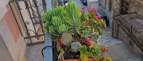 Àrea exterior de l'allotjament