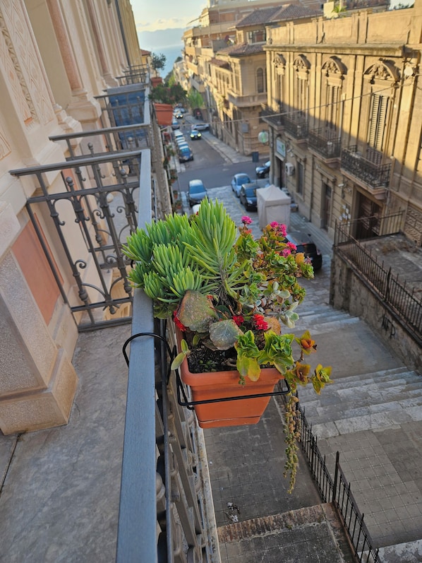 Property grounds - "TAPI'S...." Typical Dwelling (Reggio Calabria)