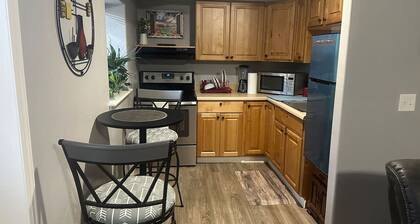 A newly executive basement apt