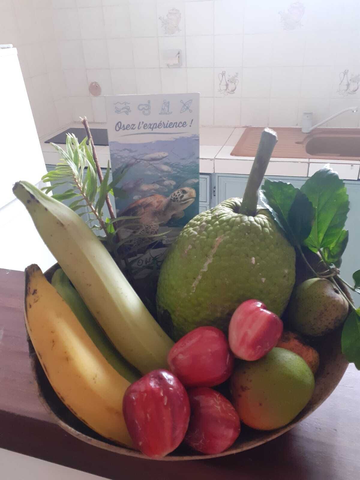 Alimentos y bebidas