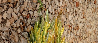 Cozy room with A/C, 5 streets to the central park