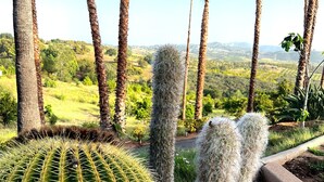 A cactus garden with various cacti and palm trees, surrounded by a gravel path and a view of a green landscape. - Luxury vacation home, beautiful decor and views! natures 20 acre villa (Escondido)