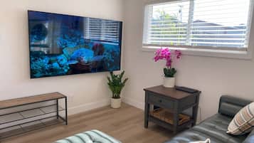 Smart TV y libros