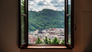 Una finestra amb vista a un paisatge urbà i un turó amb arbres.