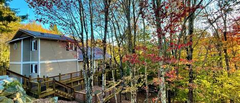 A cabin with a wooden deck and a view of a forest.