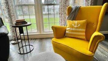 Televisor, llar de foc, reproductor de DVD i estèreo