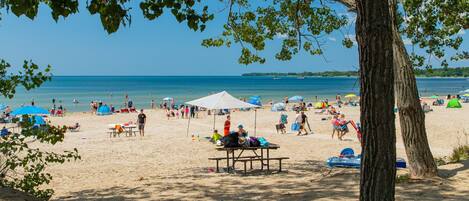 Serviettes de plage