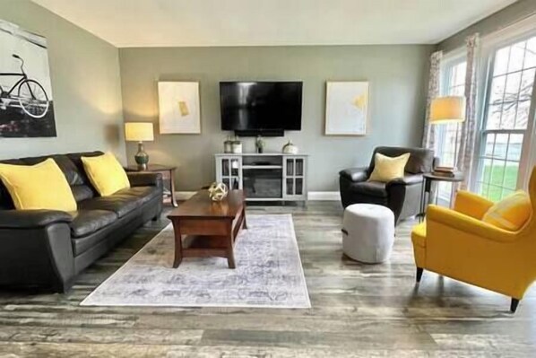 Télévision, cheminée, lecteur de DVD, chaîne hi-fi