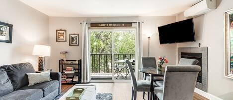 TV, fireplace, books