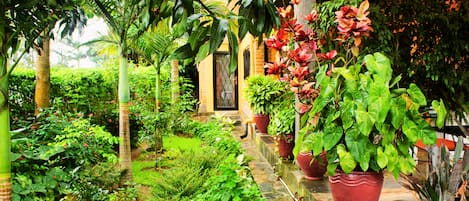 Terrazza/patio