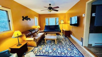 Smart TV, fireplace, books