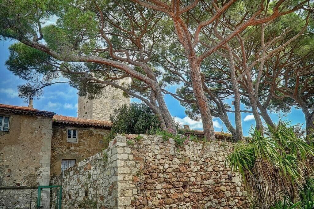 A stone wall with a rustic building and a large tree.