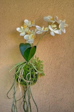 Détail de l’intérieur