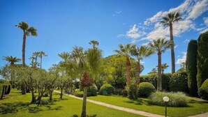 A well-maintained garden with a variety of palm trees and shrubs, a clear pathway, and a neatly trimmed hedge. - Upstays Sea View Pool Terrace 75m² Apartment (Cannes)