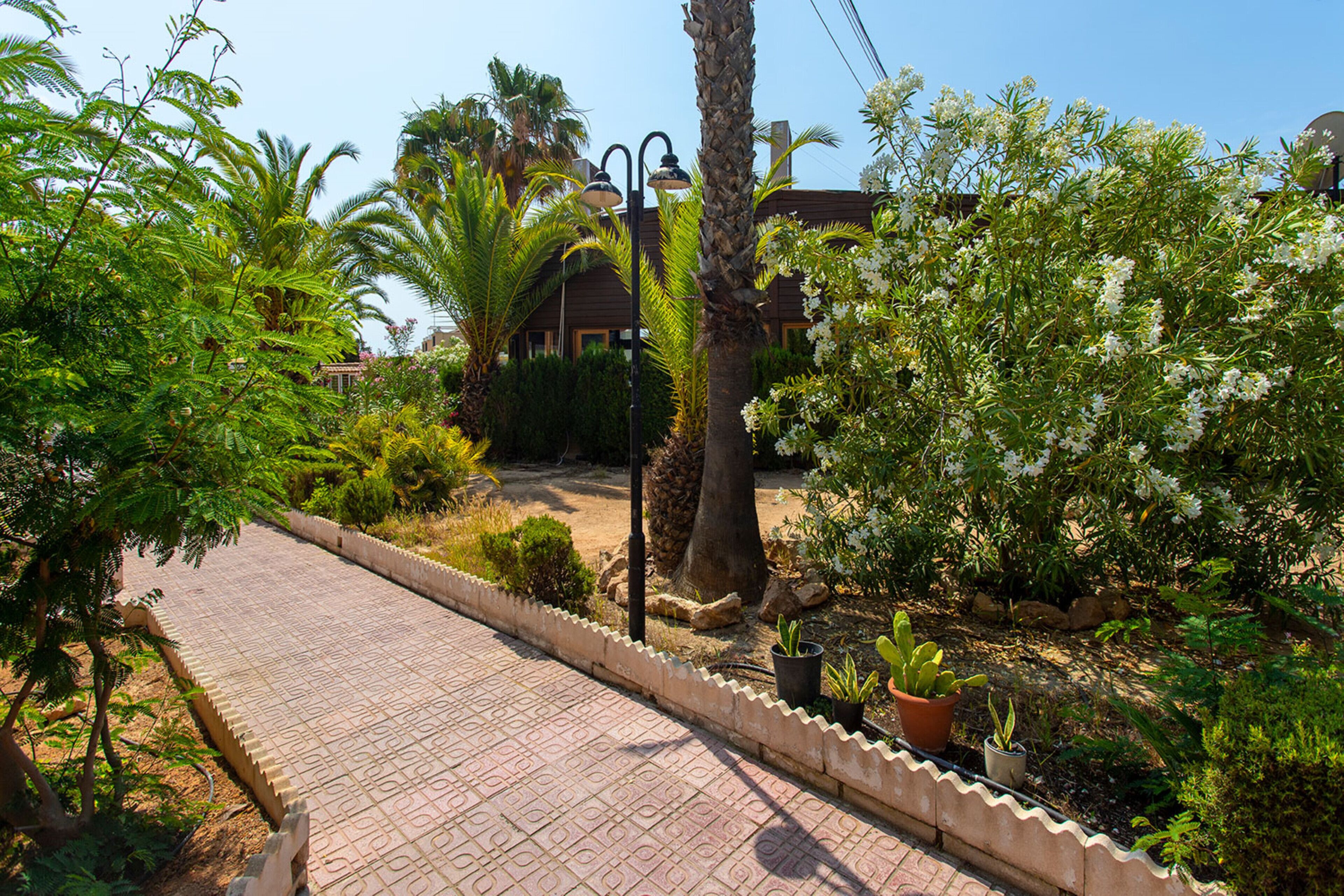 A paved pathway leading to a building surrounded by lush greenery and palm trees.