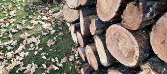 Old Oak Tree Cottage