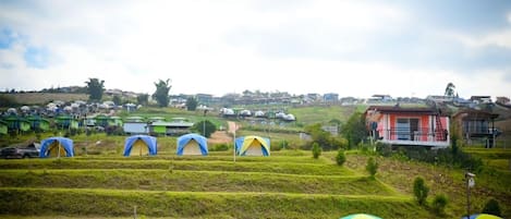 Nappalirész