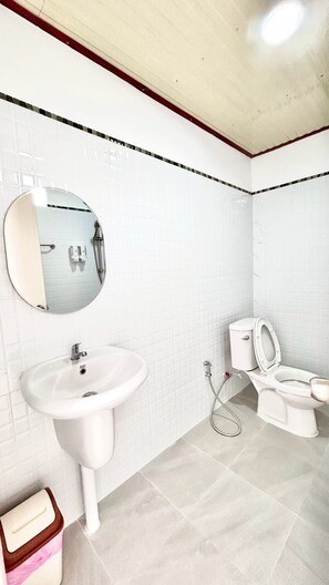 A bathroom with a white sink, a mirror, a toilet, and a shower.