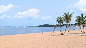 A beach with a sandy shore, palm trees, and a calm sea.