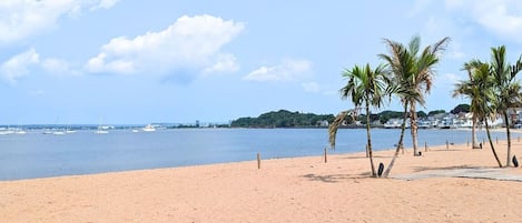 在海灘附近