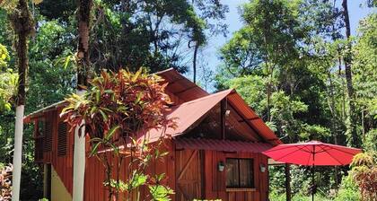 Hospedaje en Bosque Tropical Reforestado, Lleno de Naturaleza, paz y Relajación