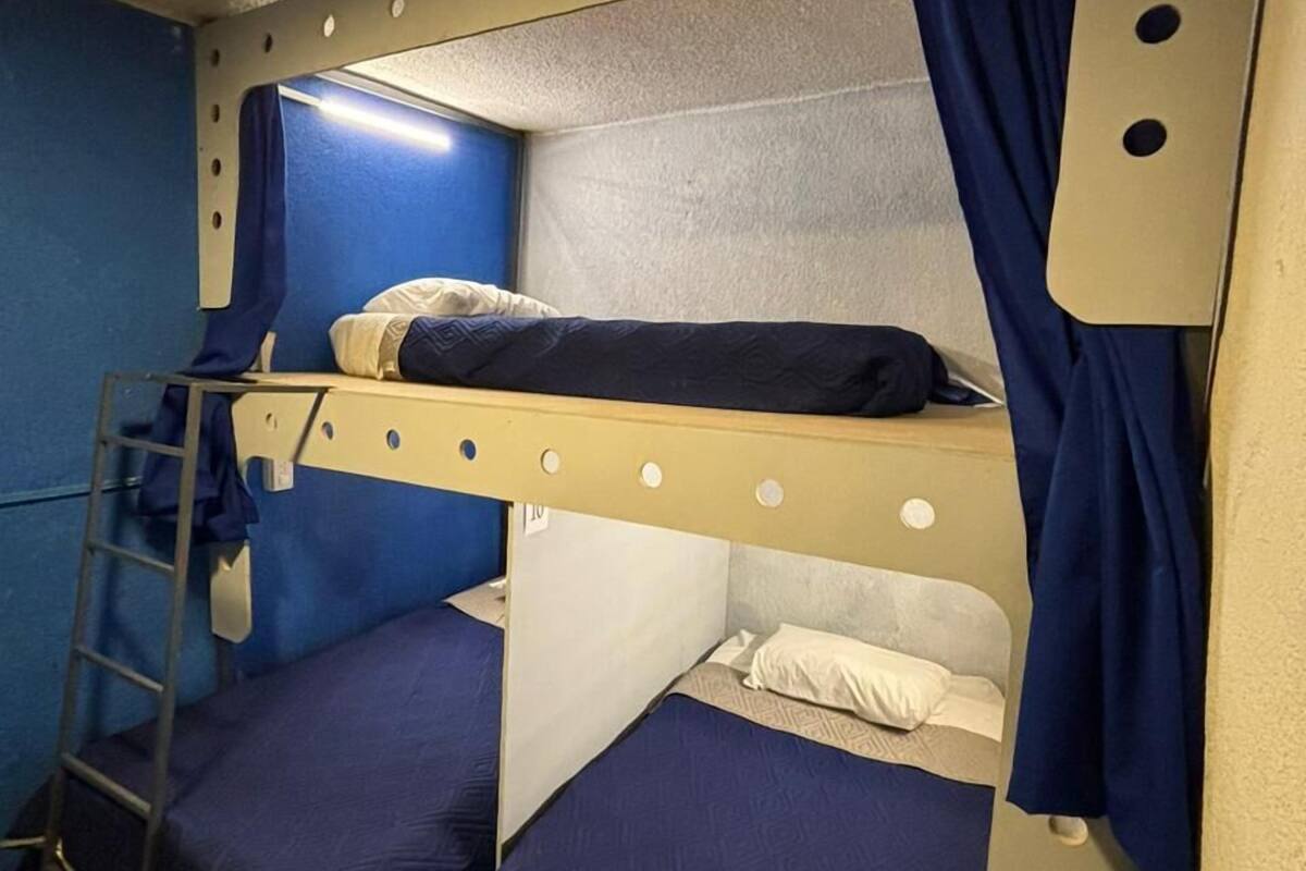 A bunk bed room with two beds, a ladder, and a curtain.