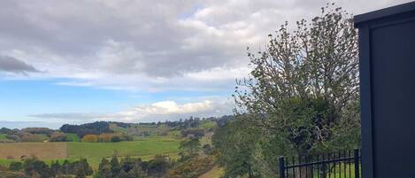 المنطقة المحيطة بالمنشأة