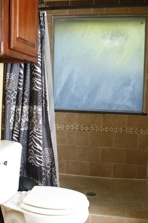 Regadera, toallas, jabón, shampoo