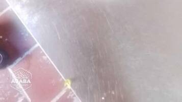 Desayuno continental incluido todos los días