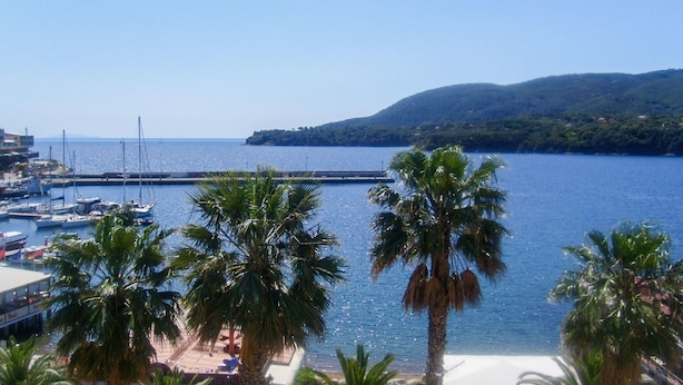Un puerto deportivo con barcos amarrados, palmeras y una vista despejada del mar y colinas al lejano.