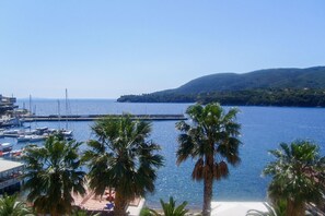 A marina with boats docked, palm trees, and a clear view of the sea and distant hills.