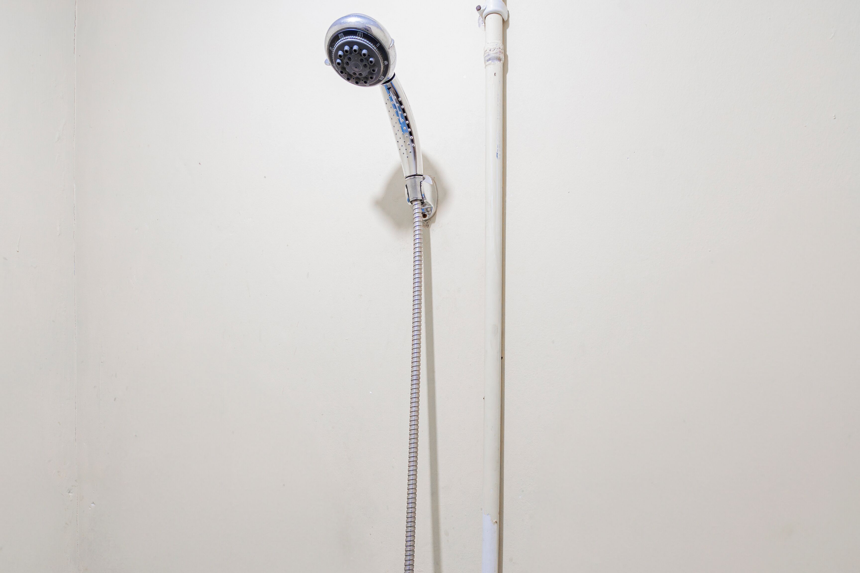 A showerhead with a flexible hose against a plain wall.