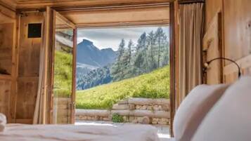 10 bedrooms, iron/ironing board, WiFi, wheelchair access