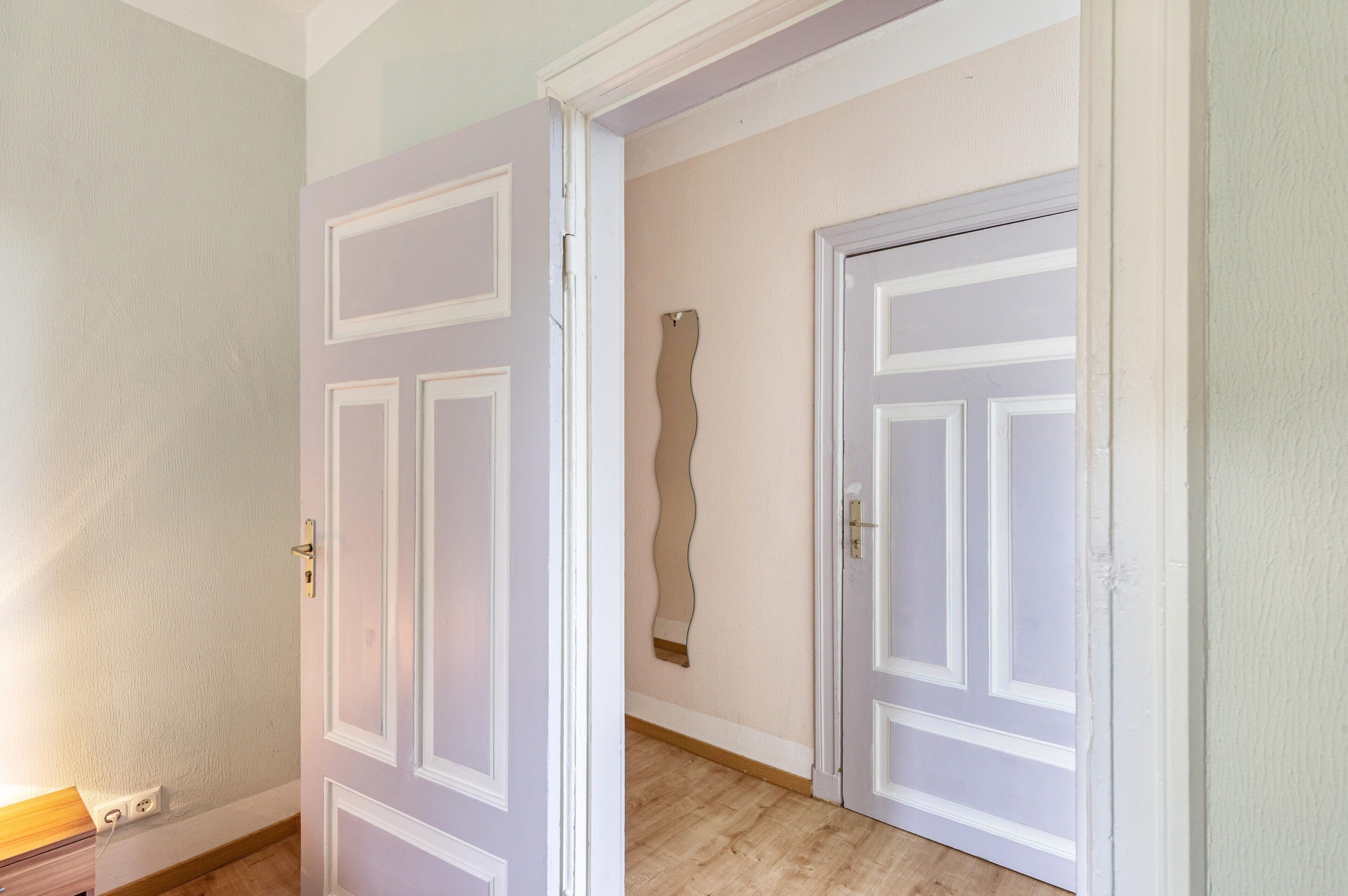 Un couloir avec deux portes blanches, un interrupteur et un plancher en bois.