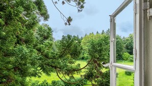 A view through a window with a view of a green landscape and trees. - Apartment 'Ferienwohnung 9' with Shared Terrace and Shared Garden (Krakow am See)