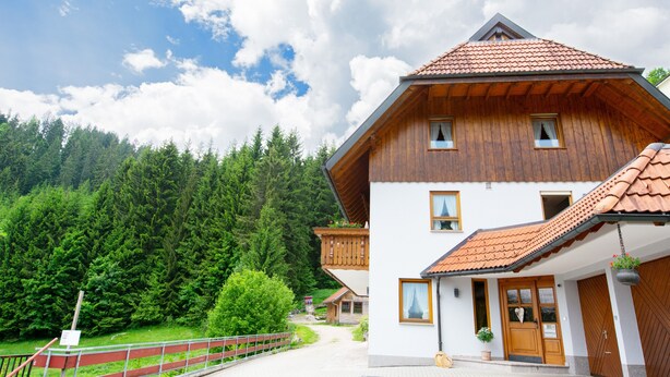 A wooden chalet with a tiled roof, a balcony with plants, and a view of a forested mountain.