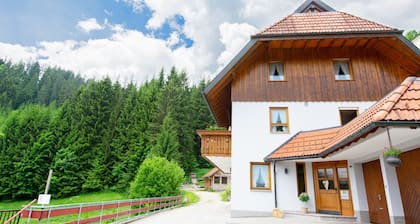 Apartment 'Birgit' with Mountain View, Private Terrace and Wi-Fi