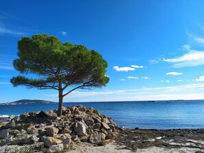 Plage à proximité