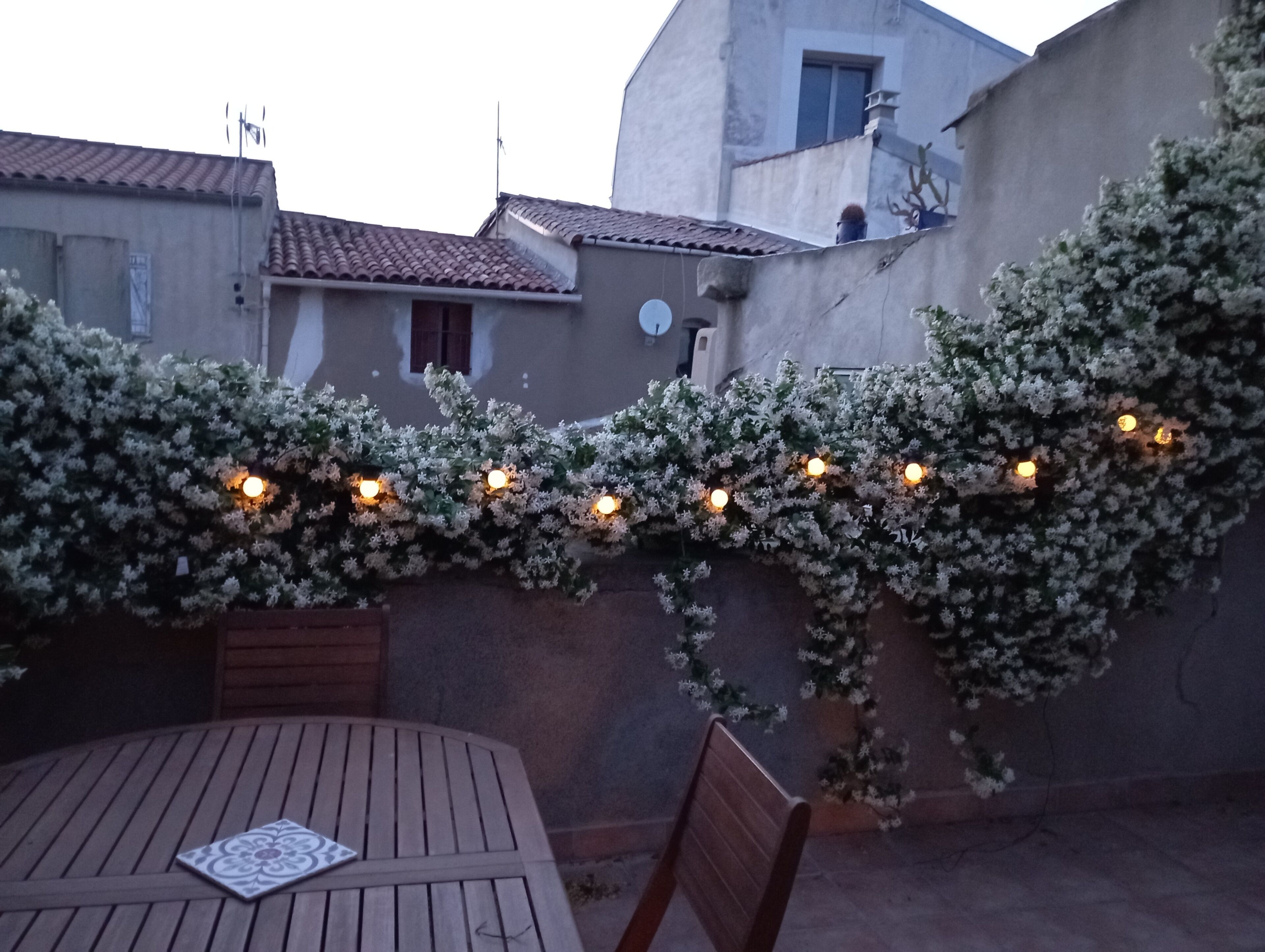 A patio with a wooden table and chairs, surrounded by a wall covered in climbing plants and string lights.