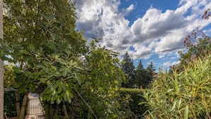 A garden with various plants and trees, a paved path, and a metal gate. - Apartments Ilija Njavro (Crikvenica)