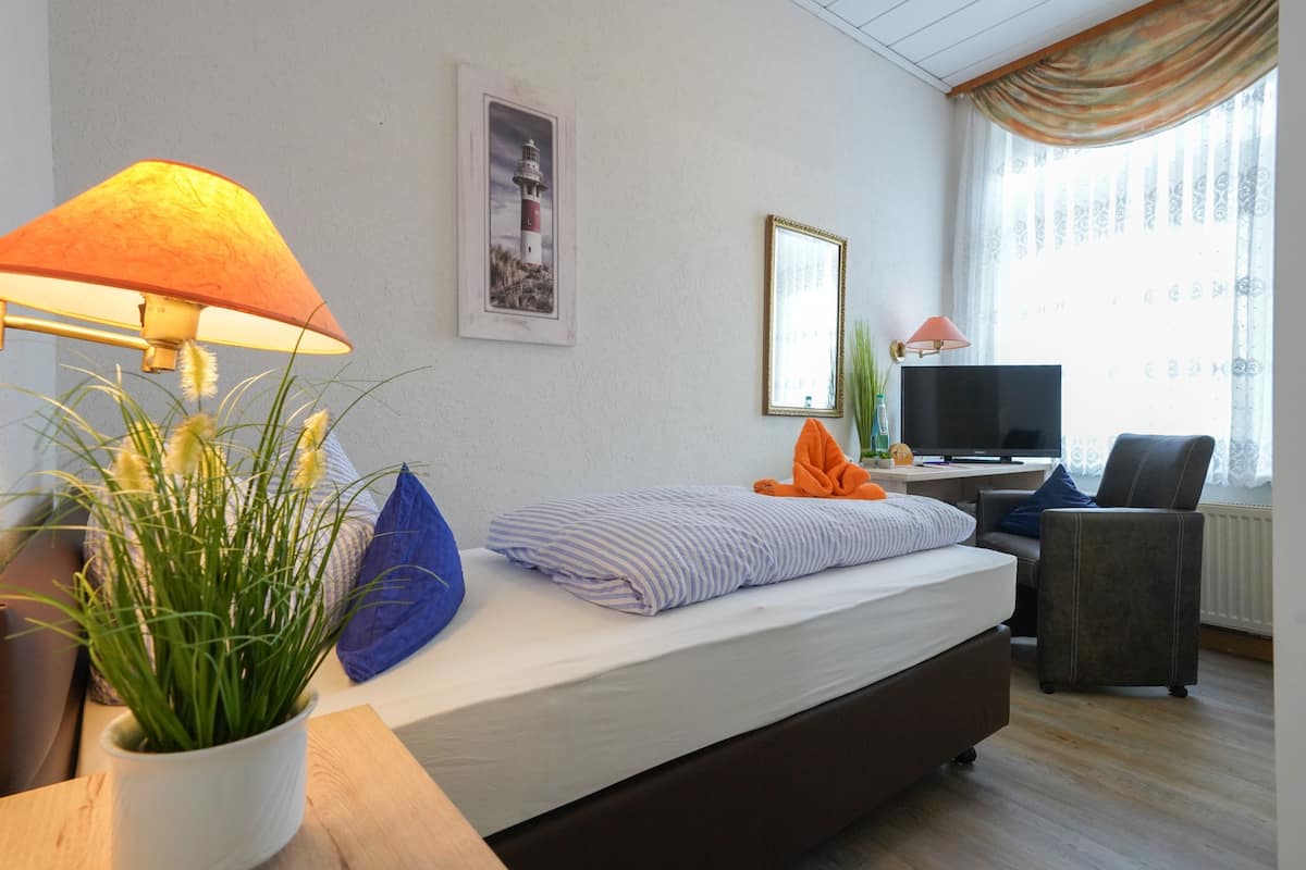 A hotel room with a bed, a desk with a computer, a TV, and a potted plant.