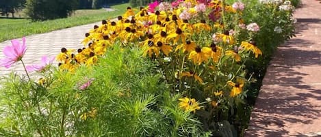 المنطقة المحيطة بالمنشأة