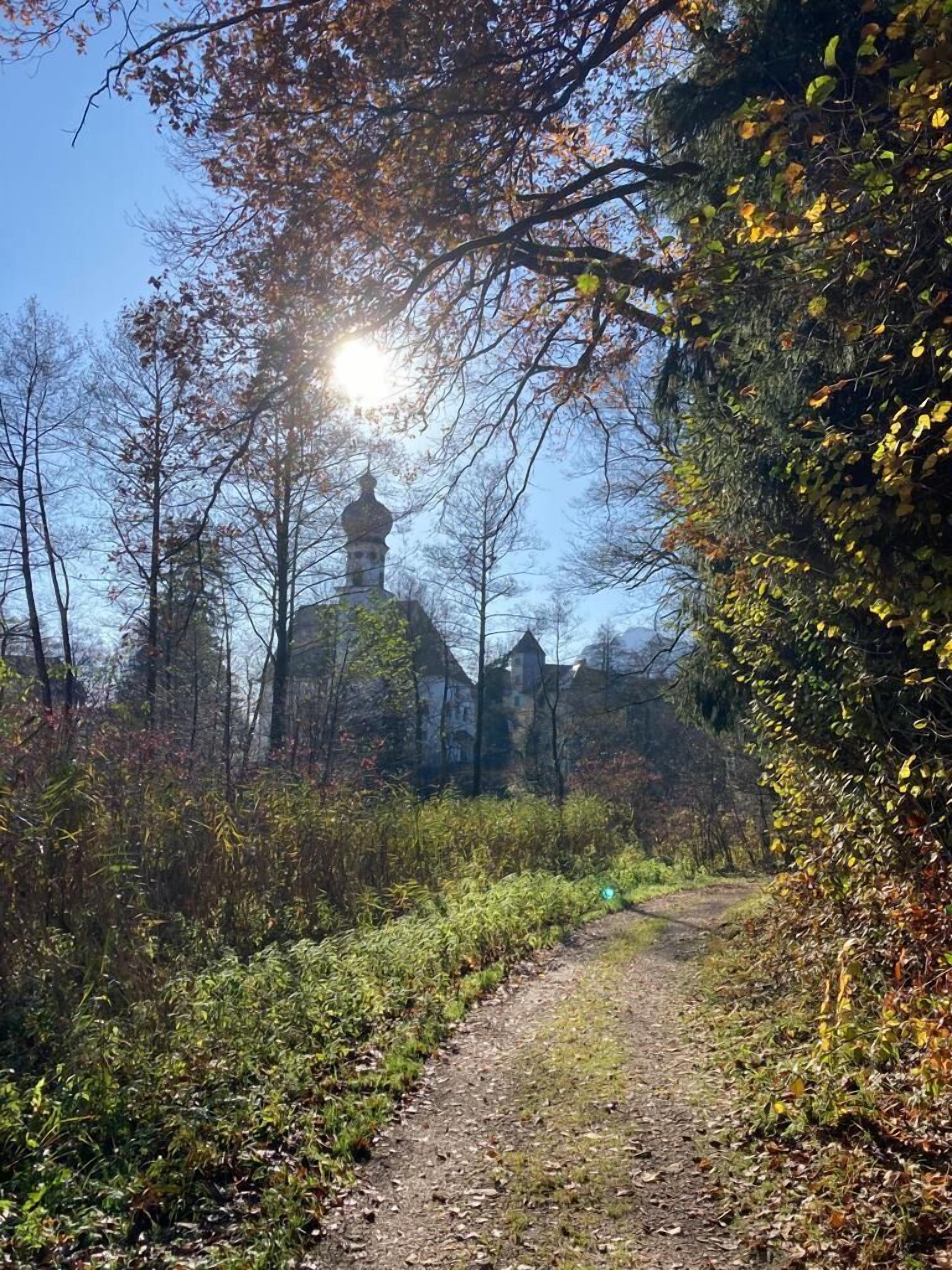 A dirt path leading to a building with a dome roof, surrounded by trees and shrubs.