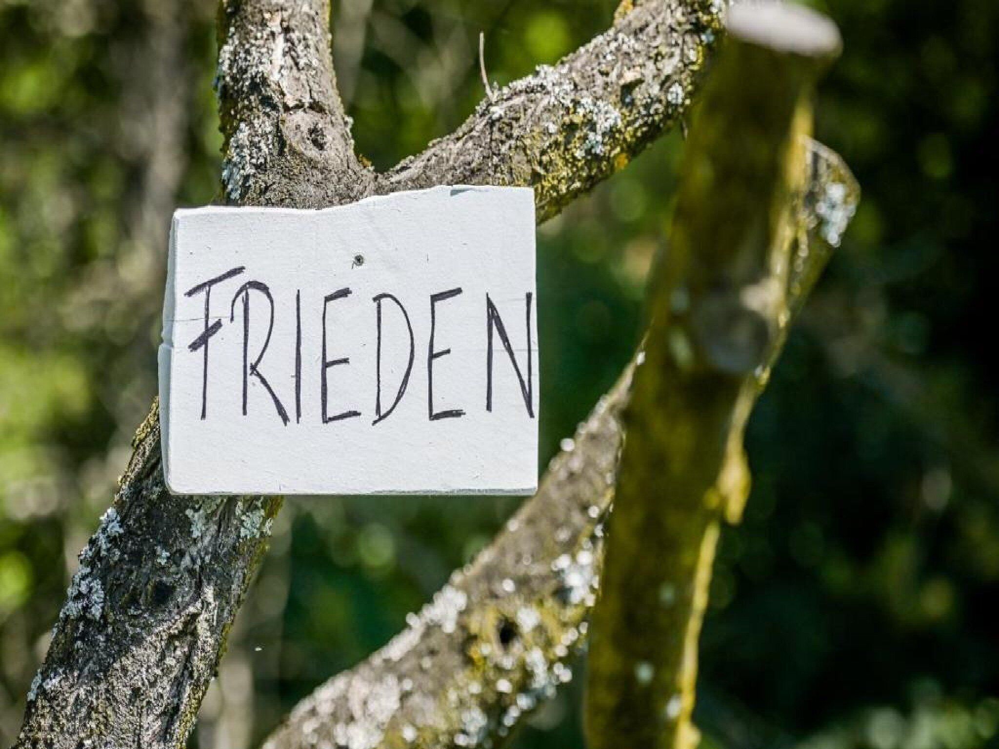 Puun oksassa on kyltti, jossa lukee sana ”FRIEDEN”.
