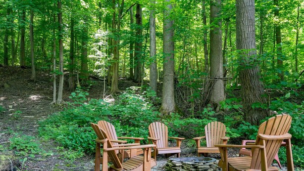 Een bos met drie houten Adirondack-stoelen rond een vuurkorf van steen.