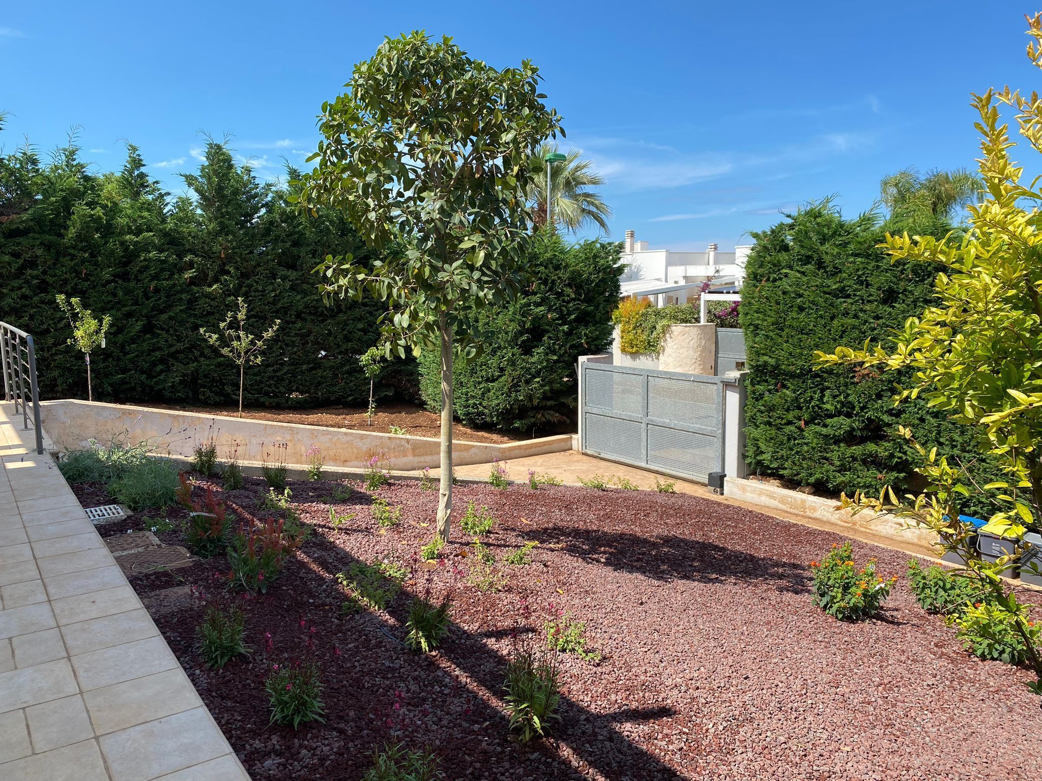 Ein angelegter Garten mit Kiesweg, Metallzaun und verschiedenen Sträuchern und Bäumen.