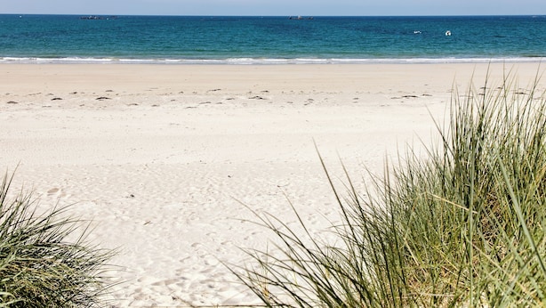 A beach with clear blue water, sandy shore, and some grass in the foreground. - Keravel, family home with character and direct access to the sea (Tréflez)