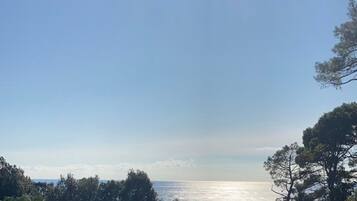 Apartment (Apartment Good Vibes - One Bedroom Ap) | View from property