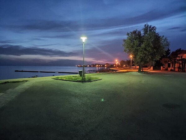 A paved area with a street lamp, a tree, and a body of water in the background.