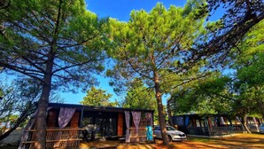 A cabin-style lodging with a covered outdoor seating area, surrounded by pine trees.